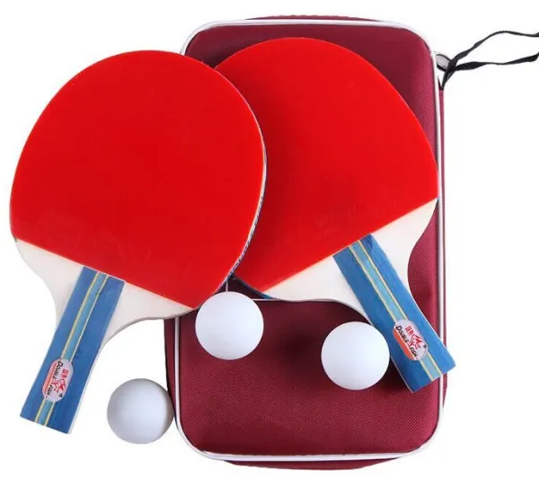 Double Fish 236A 2* Bordtennissett